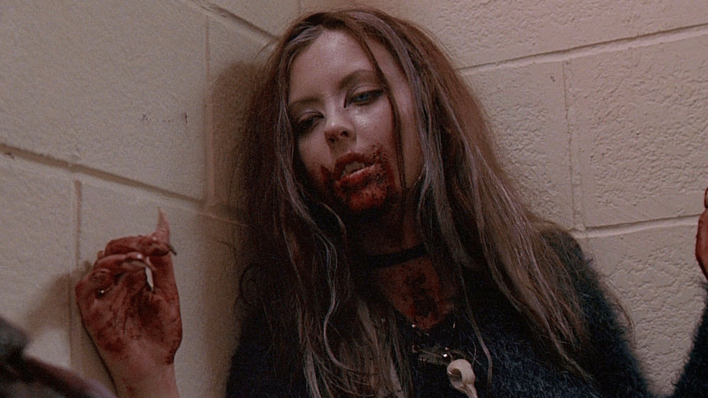 Ginger Snaps